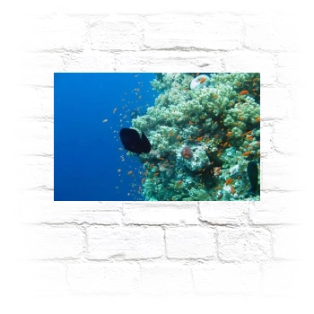 Underwater World Metal Wall Art