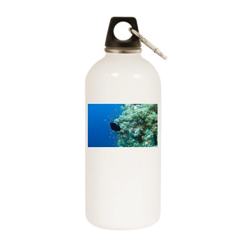 Underwater World White Water Bottle With Carabiner