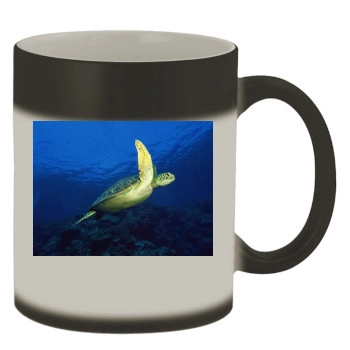 Underwater World Color Changing Mug