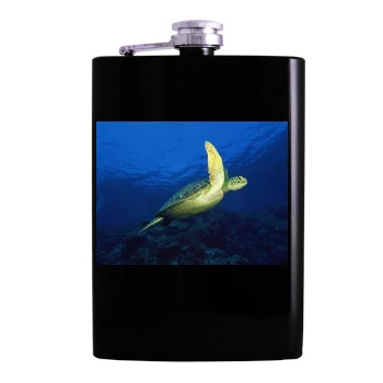 Underwater World Hip Flask