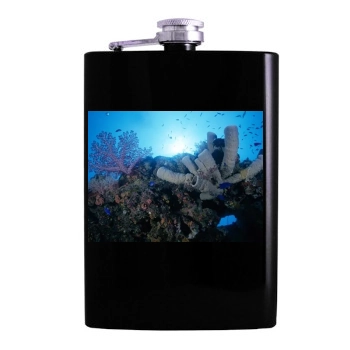 Underwater World Hip Flask