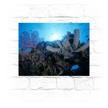 Underwater World Metal Wall Art