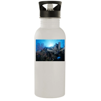 Underwater World Stainless Steel Water Bottle