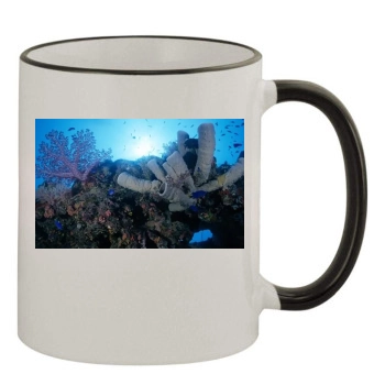 Underwater World 11oz Colored Rim & Handle Mug