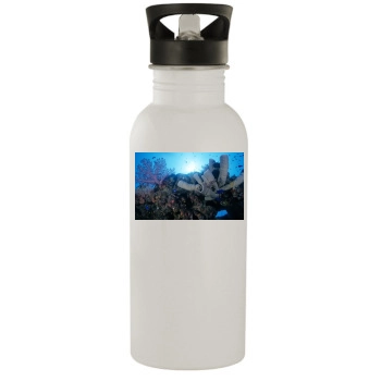 Underwater World Stainless Steel Water Bottle