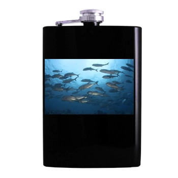 Underwater World Hip Flask