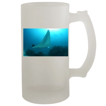 Underwater World 16oz Frosted Beer Stein