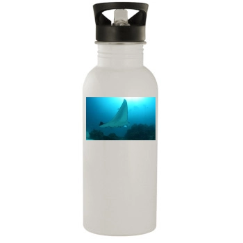 Underwater World Stainless Steel Water Bottle