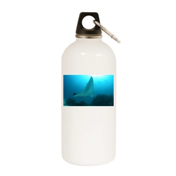 Underwater World White Water Bottle With Carabiner