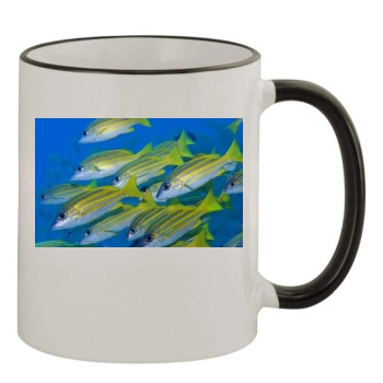 Underwater World 11oz Colored Rim & Handle Mug