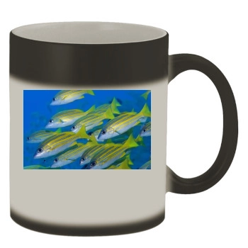 Underwater World Color Changing Mug