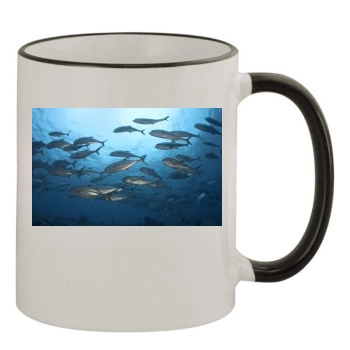 Underwater World 11oz Colored Rim & Handle Mug