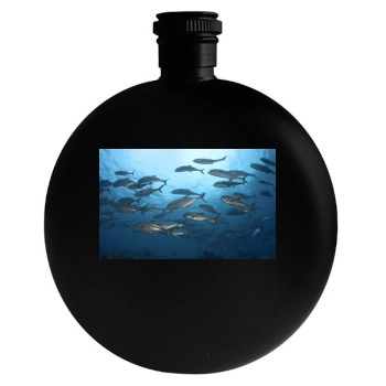 Underwater World Round Flask