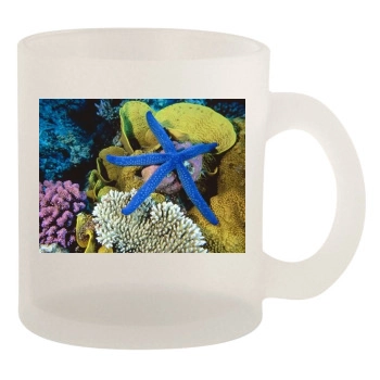 Underwater World 10oz Frosted Mug