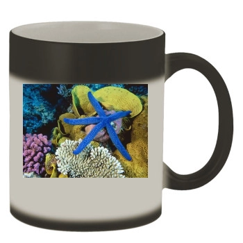 Underwater World Color Changing Mug