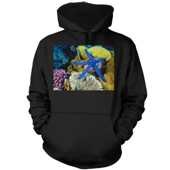 Underwater World Mens Pullover Hoodie Sweatshirt