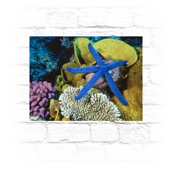 Underwater World Metal Wall Art