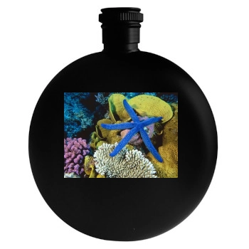 Underwater World Round Flask