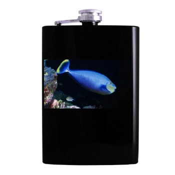 Underwater World Hip Flask