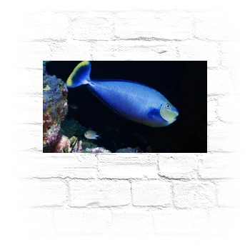 Underwater World Metal Wall Art