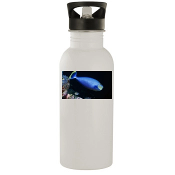 Underwater World Stainless Steel Water Bottle