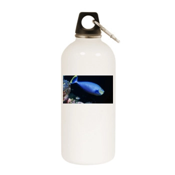 Underwater World White Water Bottle With Carabiner