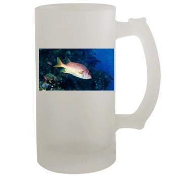 Underwater World 16oz Frosted Beer Stein