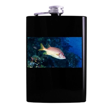 Underwater World Hip Flask