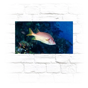 Underwater World Metal Wall Art