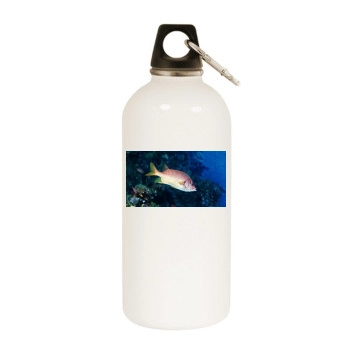 Underwater World White Water Bottle With Carabiner