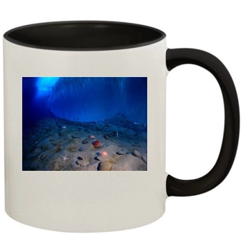 Underwater World 11oz Colored Inner & Handle Mug