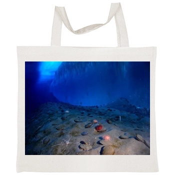 Underwater World Tote