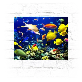 Underwater World Metal Wall Art