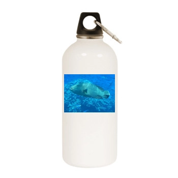 Underwater World White Water Bottle With Carabiner