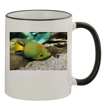 Underwater World 11oz Colored Rim & Handle Mug