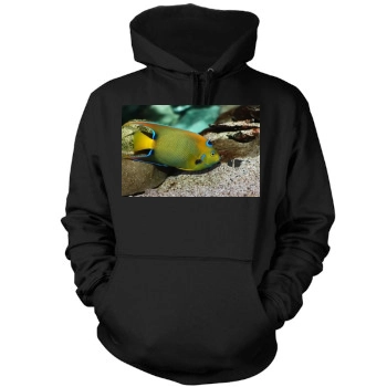 Underwater World Mens Pullover Hoodie Sweatshirt