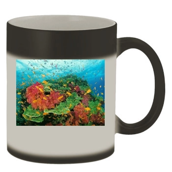 Underwater World Color Changing Mug