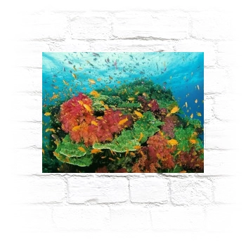 Underwater World Metal Wall Art