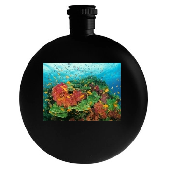 Underwater World Round Flask