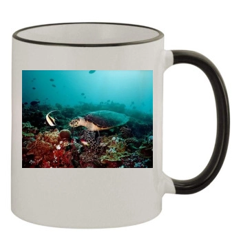 Underwater World 11oz Colored Rim & Handle Mug