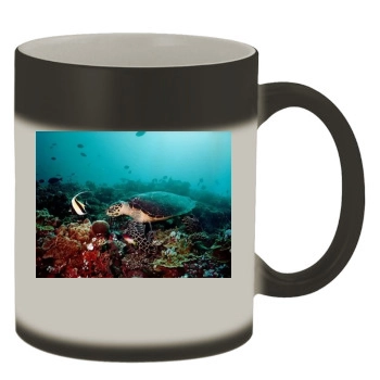 Underwater World Color Changing Mug