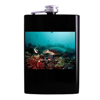 Underwater World Hip Flask