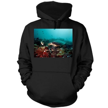 Underwater World Mens Pullover Hoodie Sweatshirt