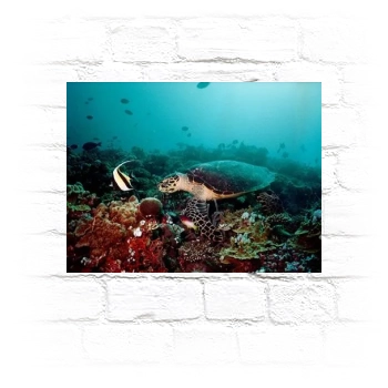 Underwater World Metal Wall Art