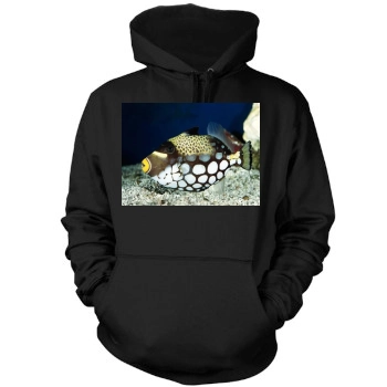 Underwater World Mens Pullover Hoodie Sweatshirt