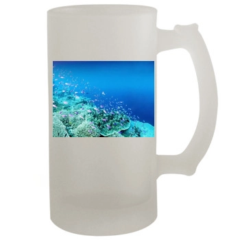 Underwater World 16oz Frosted Beer Stein