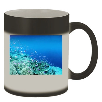 Underwater World Color Changing Mug