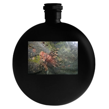 Underwater World Round Flask