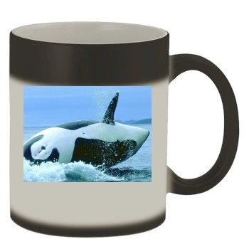 Underwater World Color Changing Mug