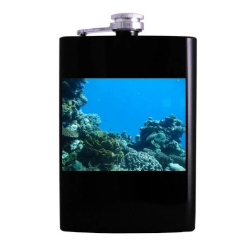 Underwater World Hip Flask